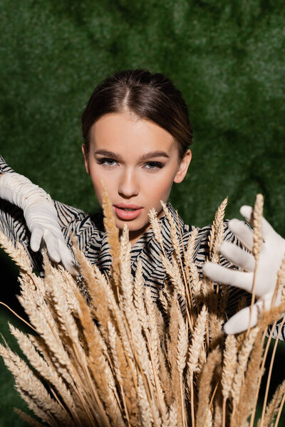 trendy model in blouse with animal print and white gloves posing near wheat spikelets  