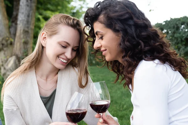 Vrolijke Lesbische Vrouwen Klinkende Bril Van Rode Wijn Tijdens Picknick — Stockfoto