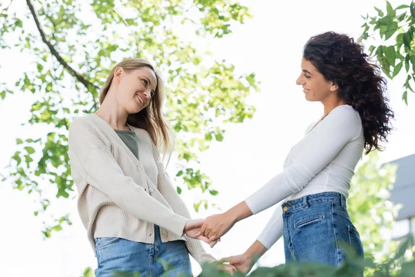 Pleased Same Sex Couple Holding Hands Looking Each Other — Stock Photo, Image