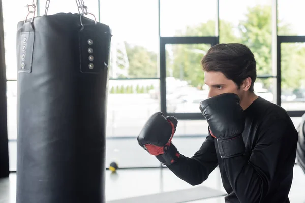 Boxer training with punching bag in sports center