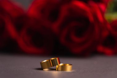 golden wedding rings with blurred roses on background  clipart
