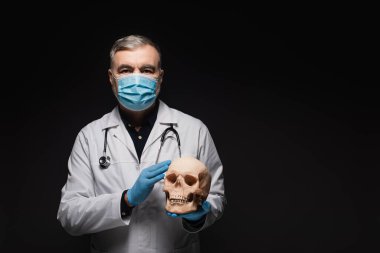 senior physician in medical mask and latex gloves holding skull isolated on black