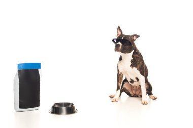 american staffordshire terrier in sunglasses sitting near bowl and bag with pet food on white 