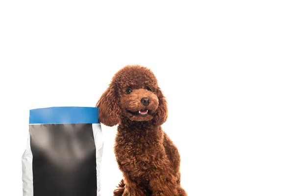 Curly Poodle Sitting Pet Food Package Isolated White — Foto de Stock