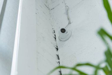 Düşük açılı kamera görüntüsü beyaz duvarda bulanık ön planda