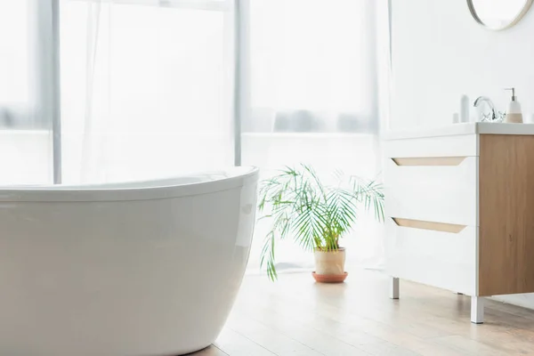 Bañera Blanca Cerca Planta Maceta Fregadero Con Artículos Tocador Baño —  Fotos de Stock