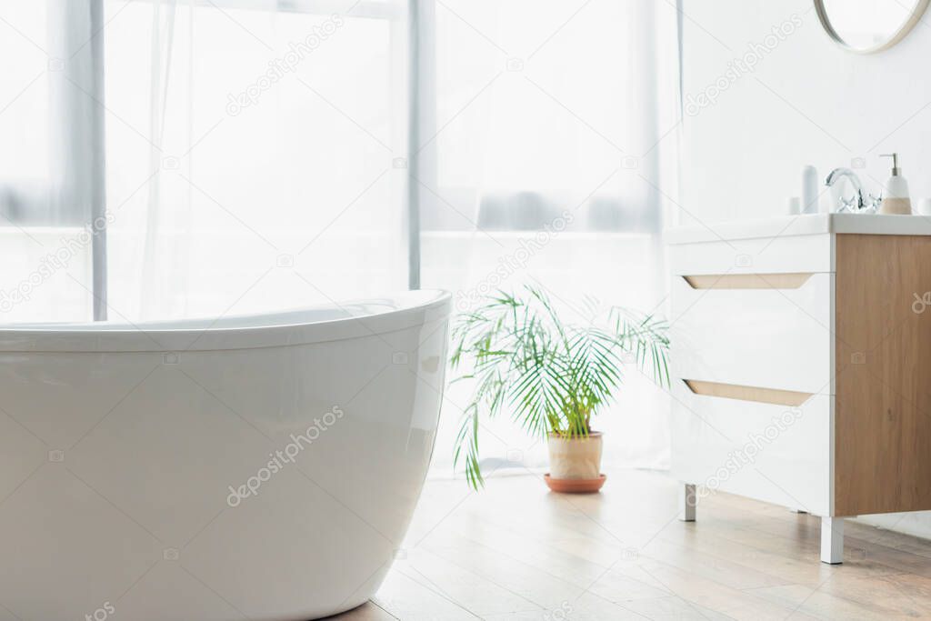 white bathtub near potted plant and sink with toiletries in modern bathroom
