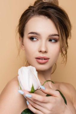Doğal makyajlı çekici bir kadın bej rengi bir gülün yanına bakıyor.