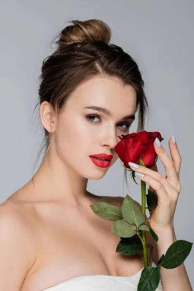 young woman with makeup and naked shoulders looking at camera near red rose isolated on grey