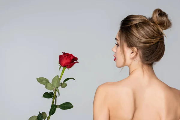 赤いバラの近くに完璧な肌を持つ若い女性の背中の景色は灰色で隔離され — ストック写真