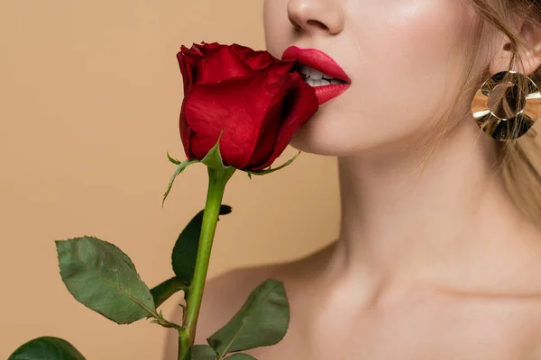 ベージュで隔絶された赤い唇の近くに新鮮なバラを持つ官能的な女性の部分的なビュー — ストック写真