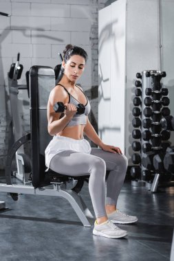 Orta Doğulu sporcu kadın spor salonunda dambılla çalışıyor. 