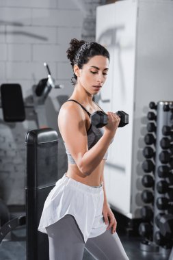 Orta Doğulu sporcu kadın spor salonunda dambılla çalışıyor. 