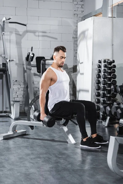 Athletic Sportsman Working Out Dumbbell Sports Equipment Gym — Stock Photo, Image