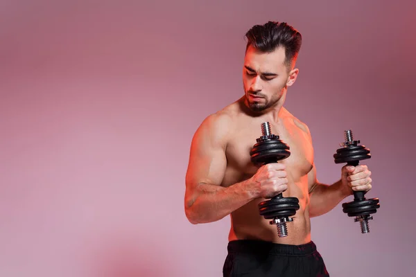 Young Shirtless Sportsman Working Out Dumbbells Pink Grey — Stock Photo, Image