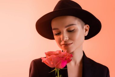 pleased woman in black fedora hat looking at fresh pink rose on coral background clipart