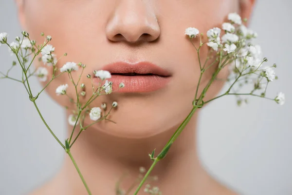 Zblízka Pohled Oříznutou Ženskou Tvář Poblíž Bílých Gypsophila Květin Izolovaných — Stock fotografie