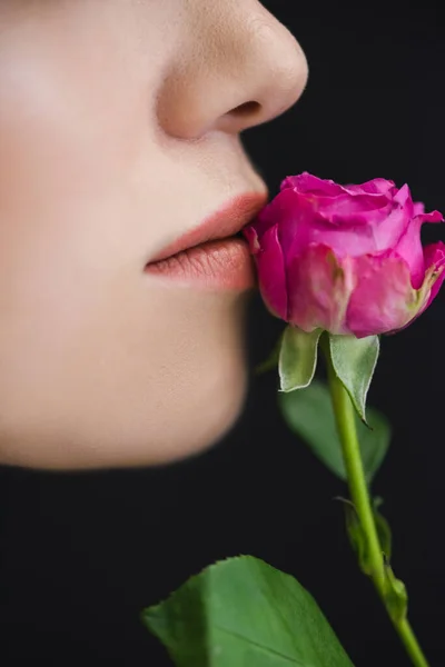 Close View Cropped Female Profile Pink Rose Neal Lips Isolated — Stock Photo, Image