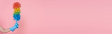 Kırpılmış plastik eldivenli kadın elinde toz fırçası, pembe pankartta izole edilmiş.