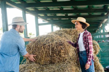 young and positive multiethnic farmers looking at each other near haystack clipart