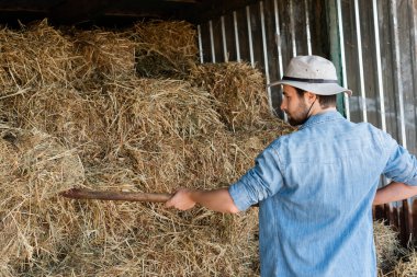 farmer in brim hat and denim shirt stacking dry hay on farm clipart