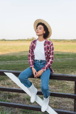 full length view of african american woman in plaid shirt and jeans sitting on wooden fence clipart