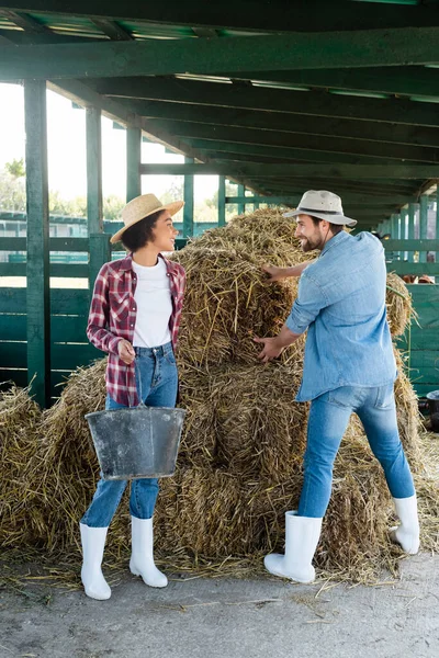 Vista Completa Joven Afroamericana Con Cubo Cerca Granjero Feliz Pajar — Foto de Stock