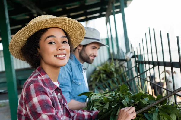 Petani African American Bahagia Melihat Kamera Dekat Palungan Dan Rekan — Stok Foto