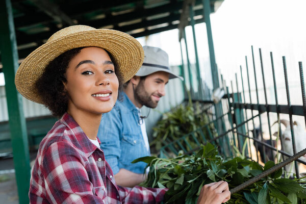 happy african american farmer looking at camera near manger and blurred colleague