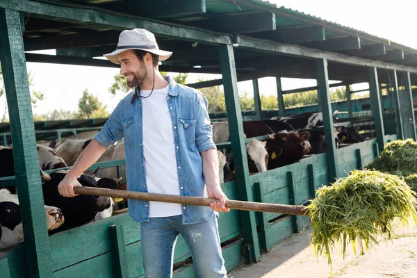 Alegre Granjero Ala Sombrero Sosteniendo Heno Cerca Casa Vaca Granja —  Fotos de Stock