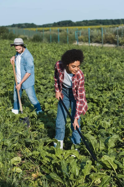 Visão Completa Dos Jovens Agricultores Inter Raciais Que Cultivam Plantas — Fotografia de Stock