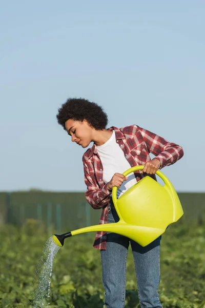 Joven Afroamericana Mujer Camisa Cuadros Regando Plantas Campo — Foto de Stock