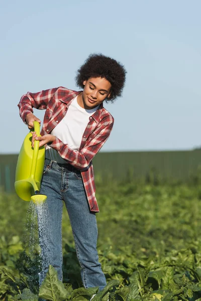 Young African American Farmer Watering Green Plants Field — Stock Photo, Image