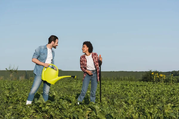 Agricultor Con Regadera Puede Hablar Con Alegre Afroamericana Mujer Campo —  Fotos de Stock