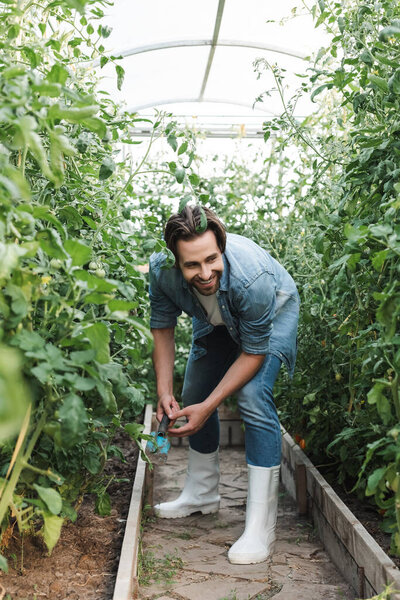 full length view of cheerful farmer with scoop in greenhouse