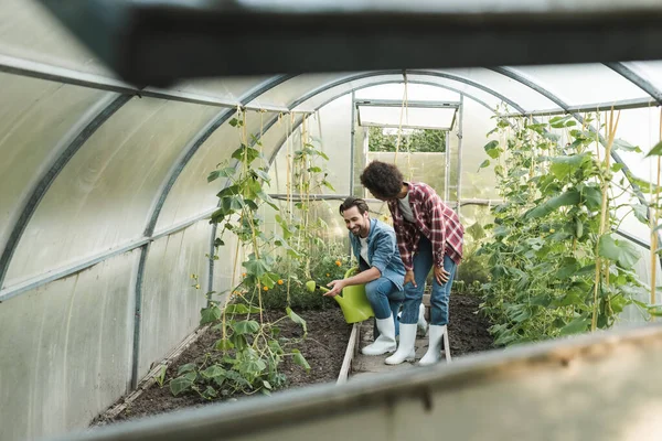 Agriculteur Souriant Avec Arrosoir Pointant Vers Les Plantes Serre Près — Photo