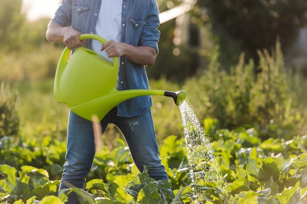 Vista Recortada Del Agricultor Regando Plantas Verdes Jardín — Foto de Stock