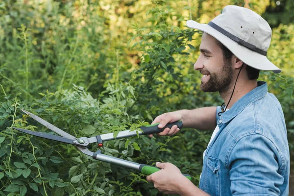 Jardinero Sonriente Las Plantas Recorte Sombrero Ala Con Tijeras Podar —  Fotos de Stock