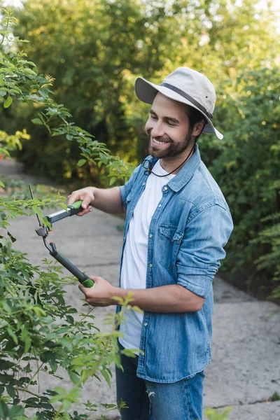 Jardineiro Feliz Arbustos Corte Chapéu Aba Com Tesouras Jardim — Fotografia de Stock