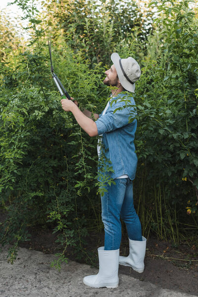 full length view of gardener in brim hat and rubber boots cutting bushes with pruner