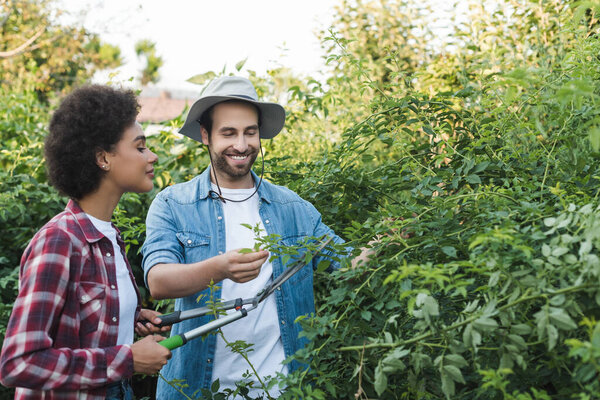 молодая африканская американка стрижет кусты возле улыбающегося садовника