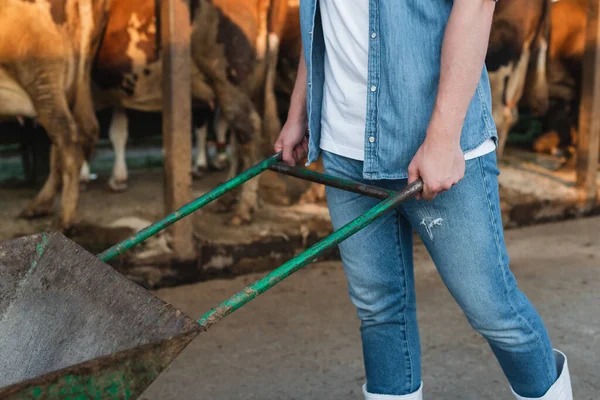 Partiell Bild Lantbrukare Med Skottkärra Nära Suddiga Kor Gården — Stockfoto