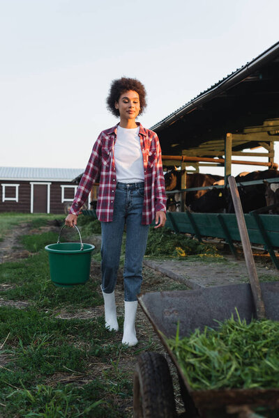 full length view of african american woman carrying bucket near blurred wheelbarrow and cowshed