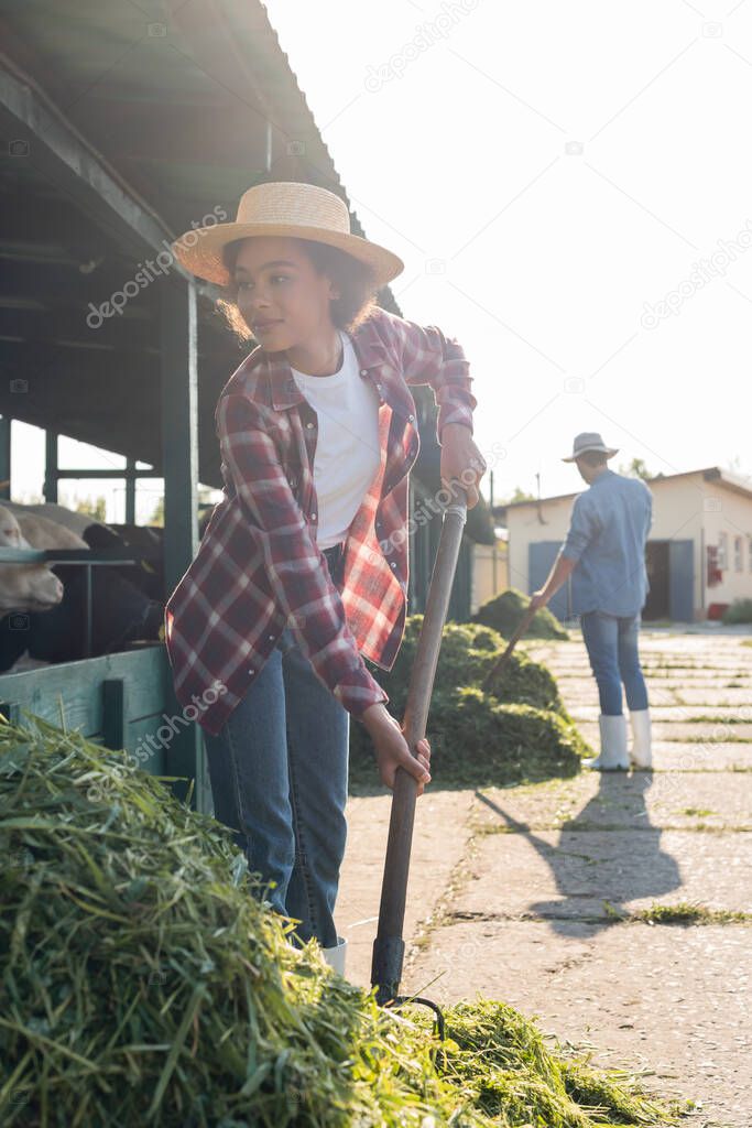 african american farmer stacking hay near cowhouse and blurred colleague