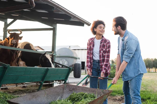 Jovens Agricultores Multiétnicos Sorrindo Uns Para Outros Perto Carrinho Mão — Fotografia de Stock