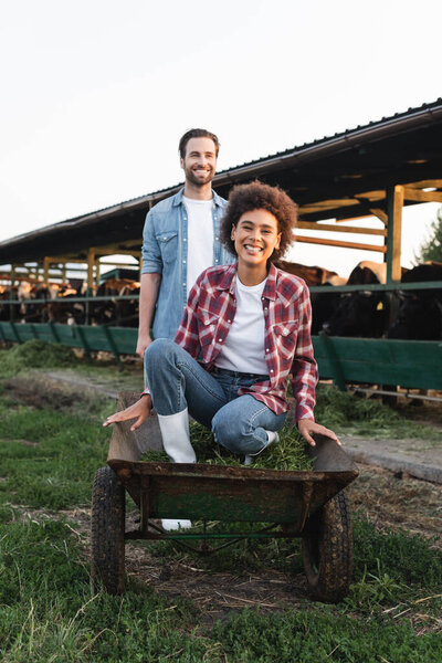 Радостная африканская американка, сидящая в тачке рядом с фермером и размытый коровник