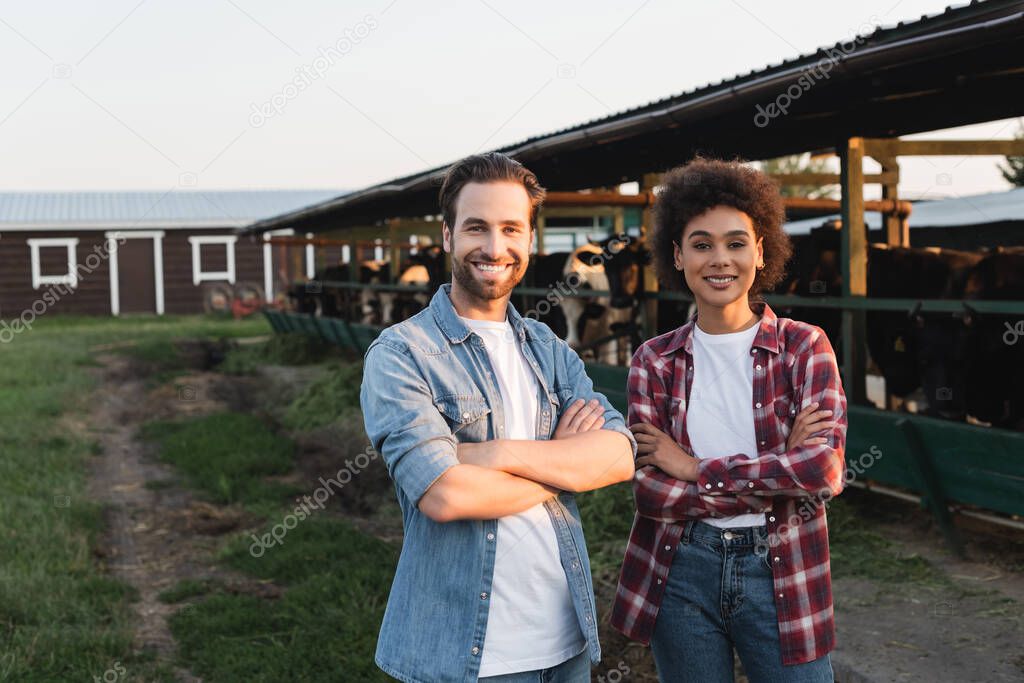 happy multiethnic farmers standing with crossed arms near blurred cowhouse