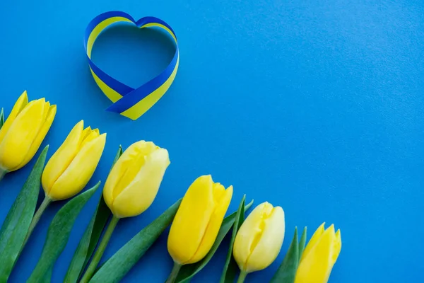 Top View Blue Yellow Ribbon Heart Sign Tulips Background — Stock Photo, Image