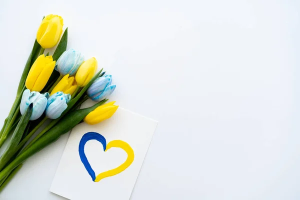 Top View Card Pained Heart Symbol Yellow Blue Tulips White — Stock Photo, Image