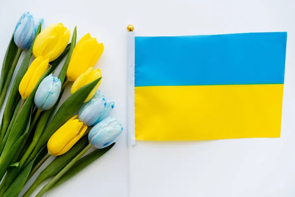 Κάτοψη Της Ουκρανικής Σημαίας Κοντά Λουλούδια Λευκό Φόντο — Φωτογραφία Αρχείου